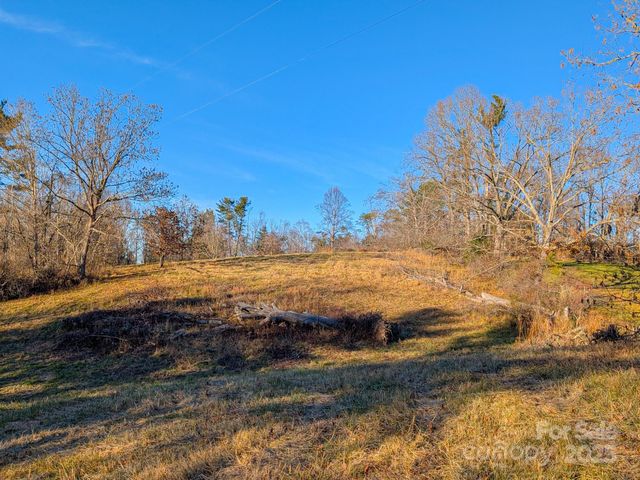 00000 Bluff Cove Road, Weaverville, NC 28787