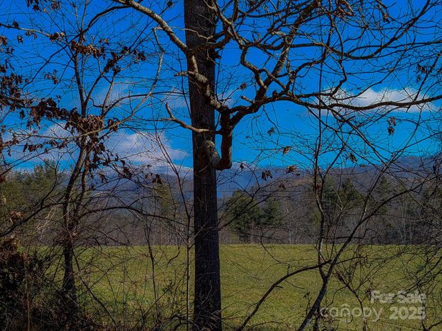 00000 Bluff Cove Road, Weaverville, NC 28787