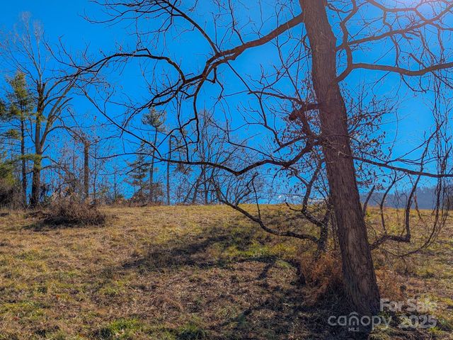 00000 Bluff Cove Road, Weaverville, NC 28787