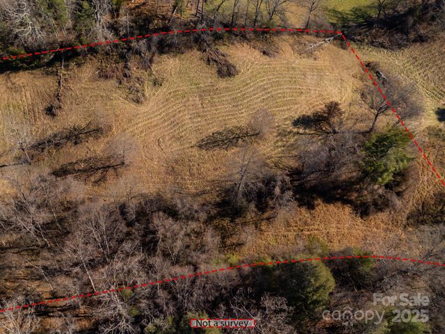 00000 Bluff Cove Road, Weaverville, NC 28787