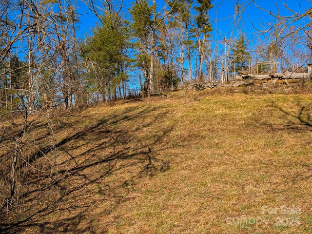 00000 Bluff Cove Road, Weaverville, NC 28787