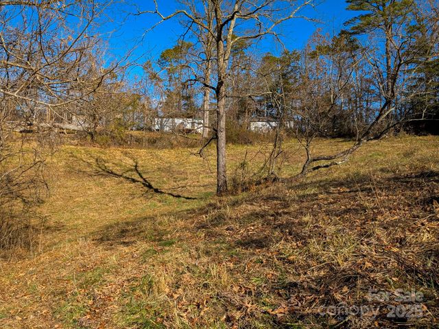 00000 Bluff Cove Road, Weaverville, NC 28787