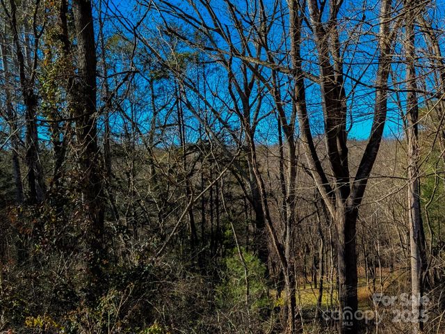00000 Bluff Cove Road, Weaverville, NC 28787