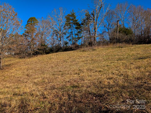 00000 Bluff Cove Road, Weaverville, NC 28787