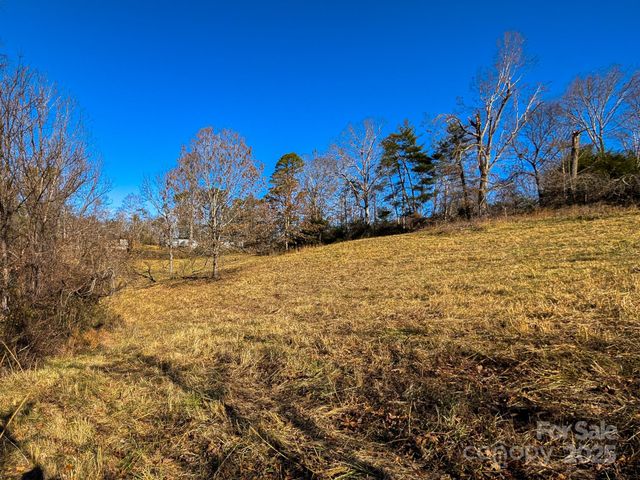 00000 Bluff Cove Road, Weaverville, NC 28787