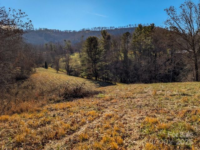 00000 Bluff Cove Road, Weaverville, NC 28787