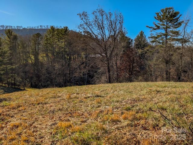 00000 Bluff Cove Road, Weaverville, NC 28787