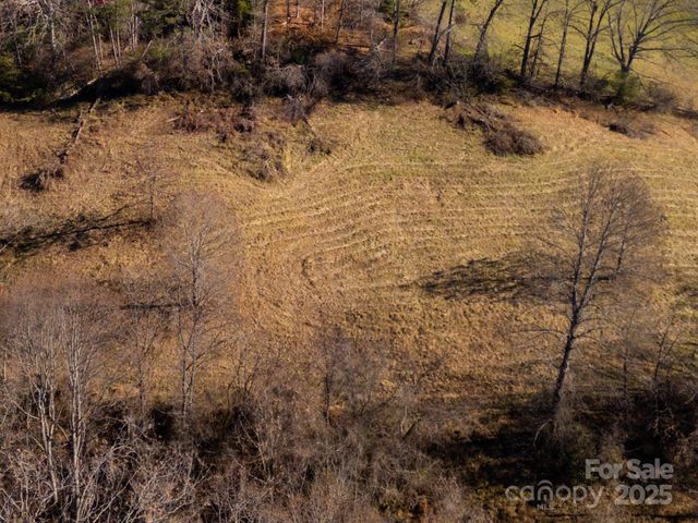 00000 Bluff Cove Road, Weaverville, NC 28787