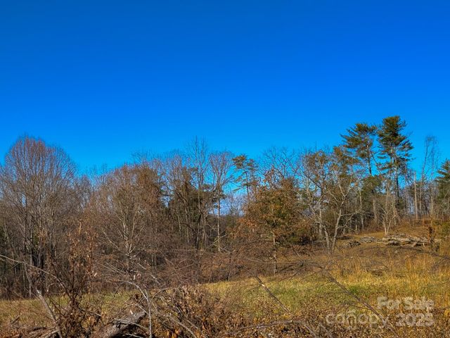 00000 Bluff Cove Road, Weaverville, NC 28787