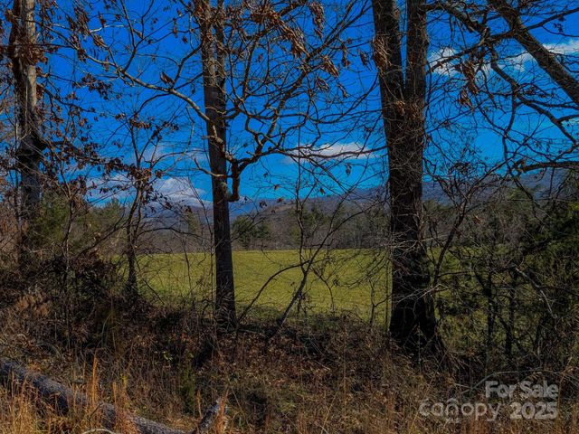 00000 Bluff Cove Road, Weaverville, NC 28787