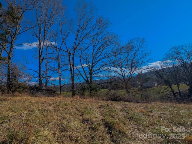 00000 Bluff Cove Road, Weaverville, NC 28787