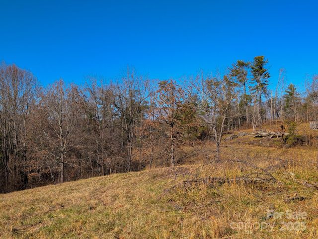 00000 Bluff Cove Road, Weaverville, NC 28787
