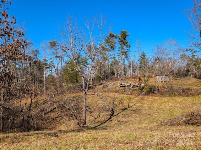 00000 Bluff Cove Road, Weaverville, NC 28787