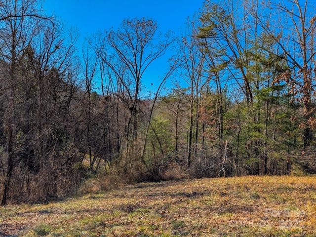 00000 Bluff Cove Road, Weaverville, NC 28787