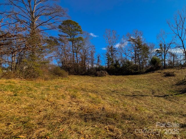 00000 Bluff Cove Road, Weaverville, NC 28787