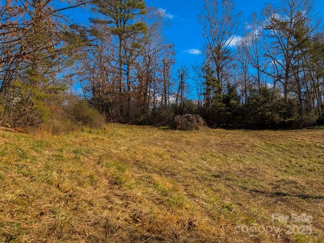 00000 Bluff Cove Road, Weaverville, NC 28787