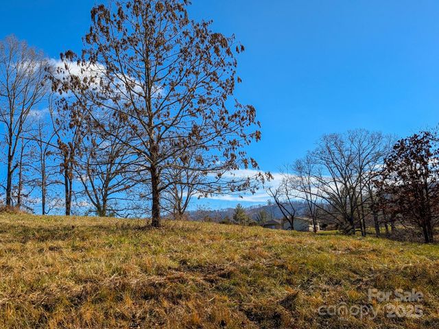 00000 Bluff Cove Road, Weaverville, NC 28787