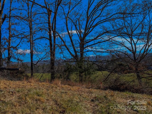 00000 Bluff Cove Road, Weaverville, NC 28787