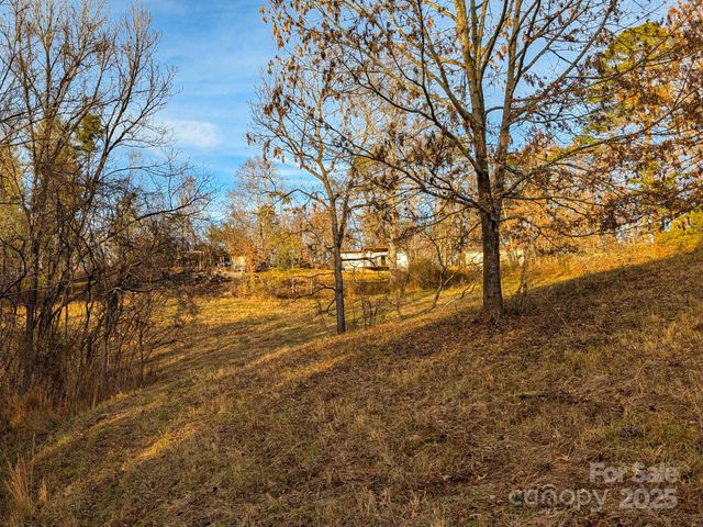 00000 Bluff Cove Road, Weaverville, NC 28787