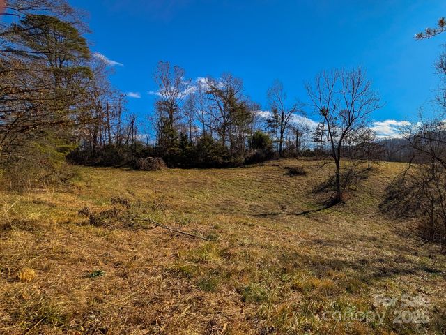 00000 Bluff Cove Road, Weaverville, NC 28787
