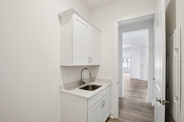 32289 WETLAND BIRD VIEW, San Antonio, FL 33576