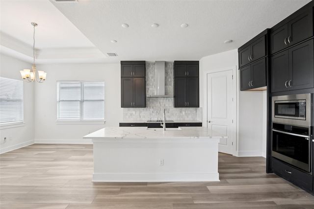 32289 WETLAND BIRD VIEW, San Antonio, FL 33576