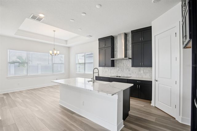 32289 WETLAND BIRD VIEW, San Antonio, FL 33576