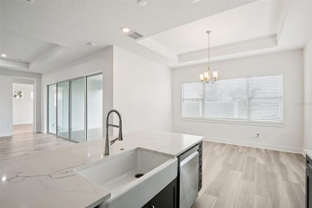 32289 WETLAND BIRD VIEW, San Antonio, FL 33576