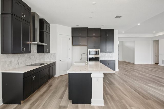 32289 WETLAND BIRD VIEW, San Antonio, FL 33576