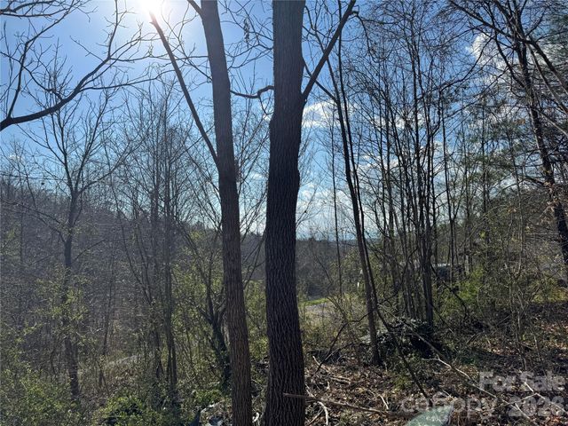 9999 Ox Creek Road, Weaverville, NC 28787