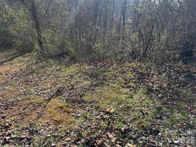 9999 Ox Creek Road, Weaverville, NC 28787