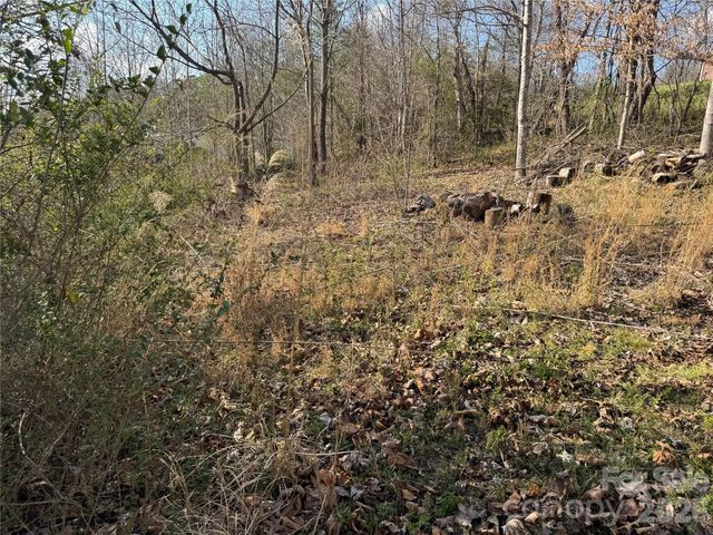 9999 Ox Creek Road, Weaverville, NC 28787