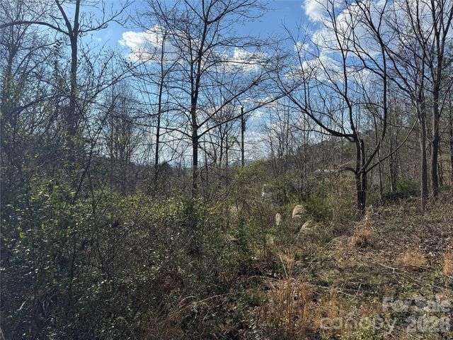 9999 Ox Creek Road, Weaverville, NC 28787