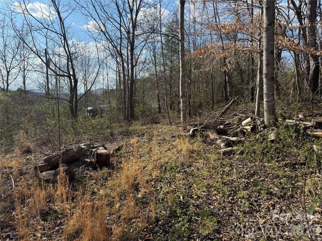 9999 Ox Creek Road, Weaverville, NC 28787