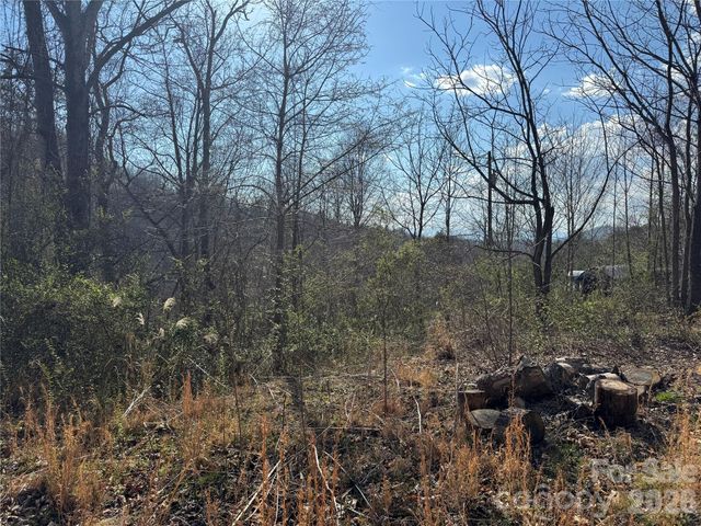 9999 Ox Creek Road, Weaverville, NC 28787