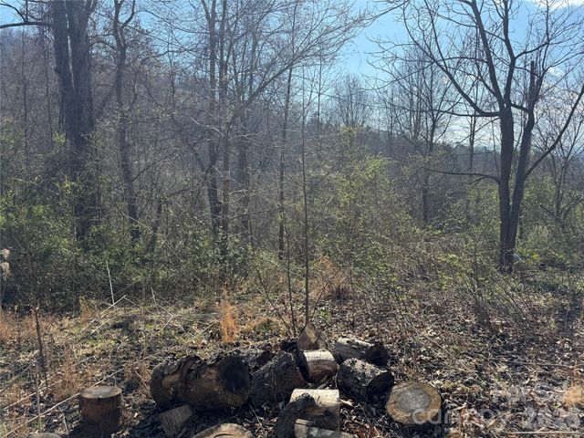 9999 Ox Creek Road, Weaverville, NC 28787