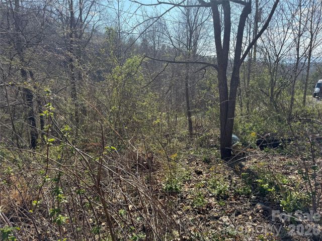 9999 Ox Creek Road, Weaverville, NC 28787