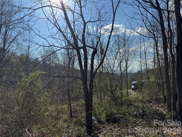 9999 Ox Creek Road, Weaverville, NC 28787