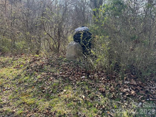 9999 Ox Creek Road, Weaverville, NC 28787