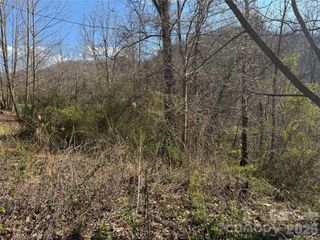 9999 Ox Creek Road, Weaverville, NC 28787