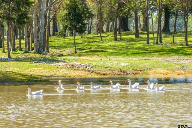 13006 FM 757, Winona, TX 75792