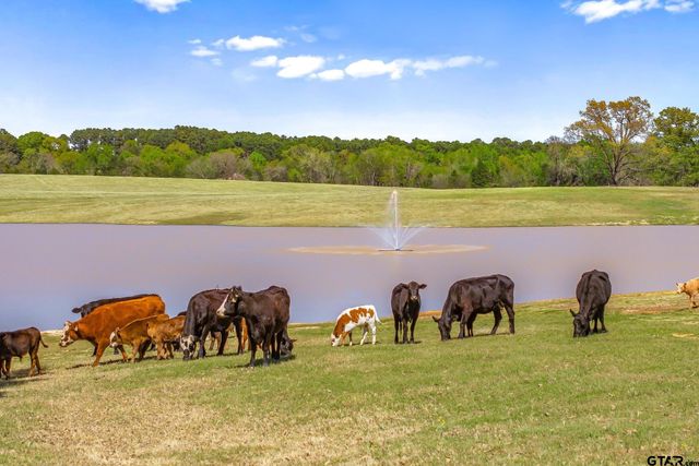 13006 FM 757, Winona, TX 75792