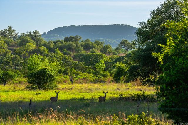 190-A Richter Road, Boerne, TX 78006