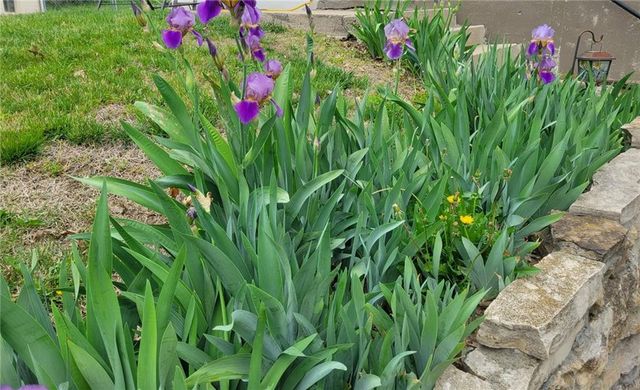 308 SW MOORE Place, Blue Springs, MO 64015