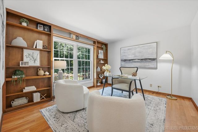 6036 Mill Bridge Lane, Lisle, IL 60532