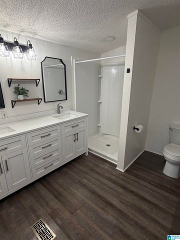 588 CHULA VISTA MTN ROAD, Pell City, AL 35125