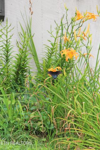 1380 Ski View Drive UNIT 3203, Gatlinburg, TN 37738