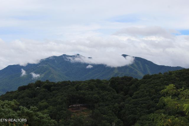 1380 Ski View Drive UNIT 3203, Gatlinburg, TN 37738