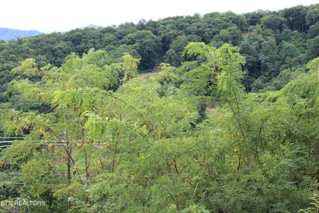 1380 Ski View Drive UNIT 3203, Gatlinburg, TN 37738