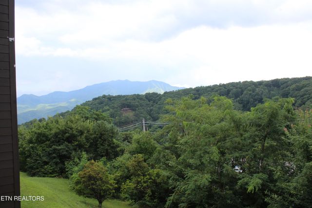 1380 Ski View Drive UNIT 3203, Gatlinburg, TN 37738